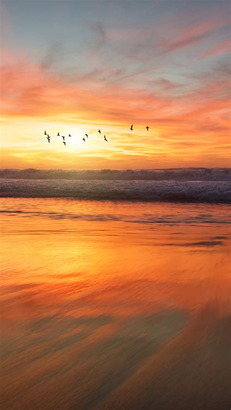 San Diego Beach Sunrise Iphone Wallpaper Idrop News