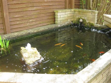 Goldfish And Koi Ponds