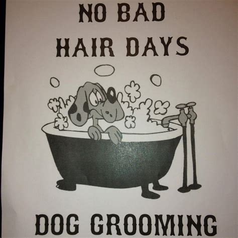 No Bad Hair Days Dog Grooming | Fruitland ID