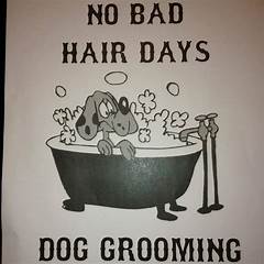 No More Bad Hair Days Art Of Pet Grooming Reviews For Pristine Pet Grooming
