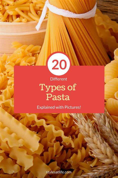 Types Of Pasta Orecchiette Pappardelle Fusilli Pasta Varieties