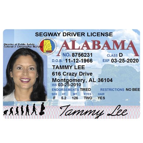 Alabama Drivers License Manual