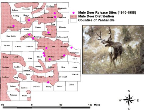 Mule Deer Range Map