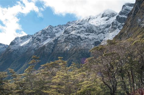 Southern Alps New Zealand Stock Photo Image Of Active Outdoors