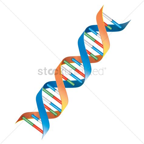 Dna Symbol Vector At Collection Of Dna Symbol Vector