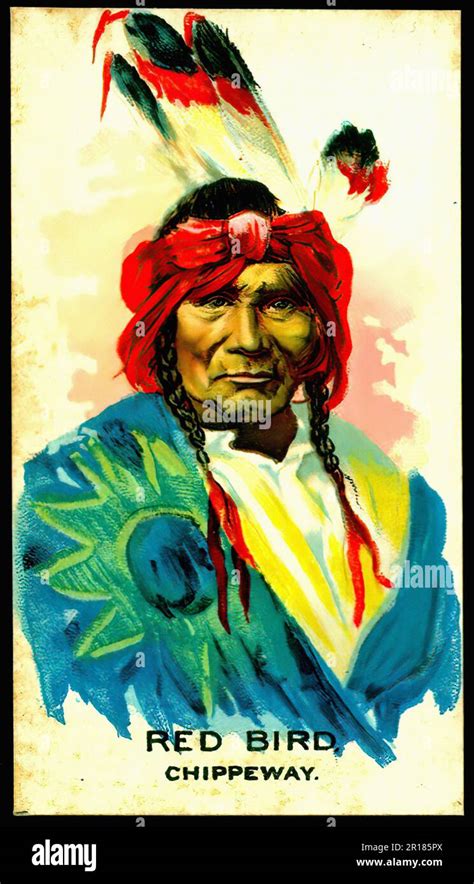 Indian Chief Red Bird Vintage Cigarette Card Stock Photo Alamy