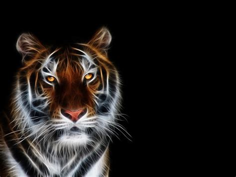 Videoclips de stock en 4k y hd sobre 895.179 fondo de pantalla para proyectos creativos. fondos de pantalla de Tigre Abstracto. wallpapers de Tigre ...