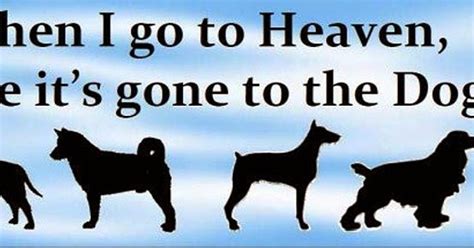 What does the saying 'all dogs go to heaven' mean? The Dog Blog: DO PETS GO TO HEAVEN?