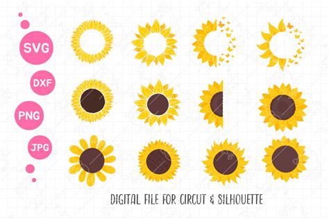 Sunflower Bundle Svg Sunflower Svg Graphic By Foxgrafy · Creative Fabrica