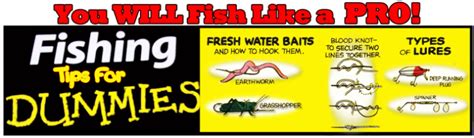 Secrets To Catching Bluegill Fishing Tips For Beginners