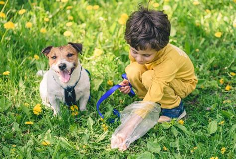 How To Be A Good Neighbor When It Comes To Your Dog Rentals Blog