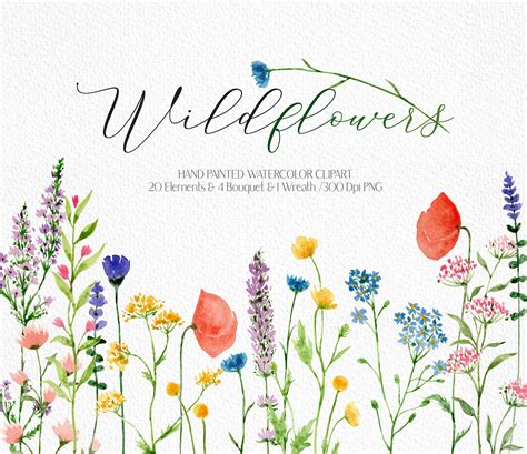 Watercolor Wildflowers Clipart Wildflower Bouquet Flower Etsy