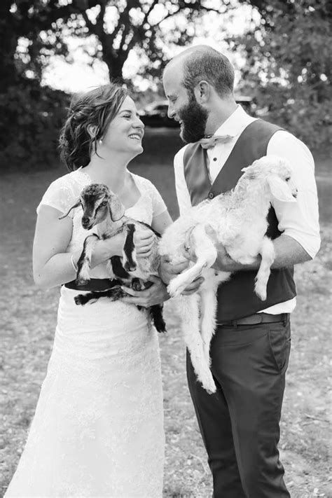 Weddings Mobile Animal Farm Sydney Petting Zoo Hire
