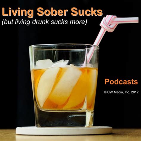 What Does An Alcoholic Look Like Living Sober Sucks Podcast Podtail