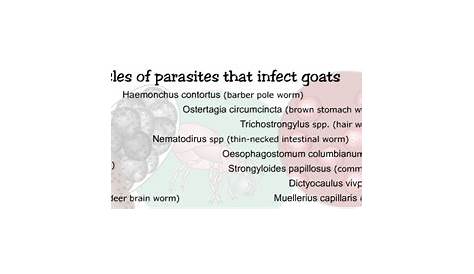 goat parasite identification chart