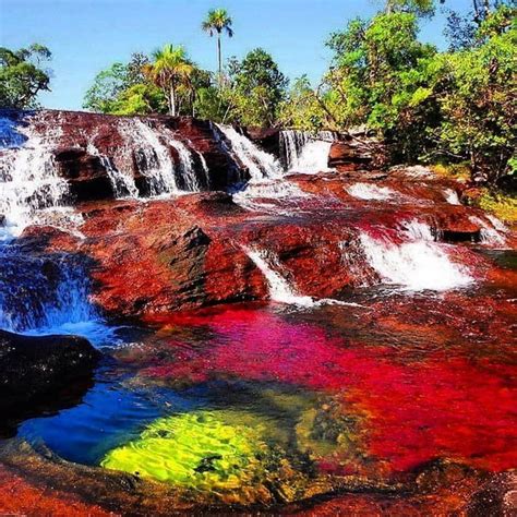 The Caño Cristales Is A River In Colombiathe River Is Called The River