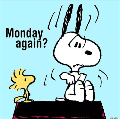 A Charlie Brown Cartoon With The Words Monday Again And An Image Of A Dog