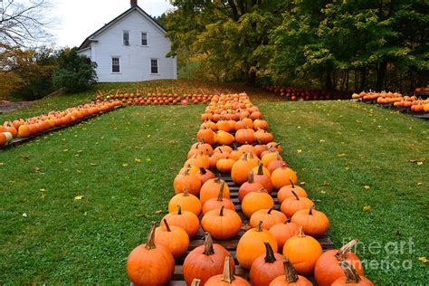 Vermont Farm And Pumpkins Photograph By Rossano Ossi Fine Art America