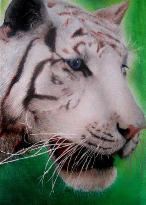 Peinture Tigre Blanc