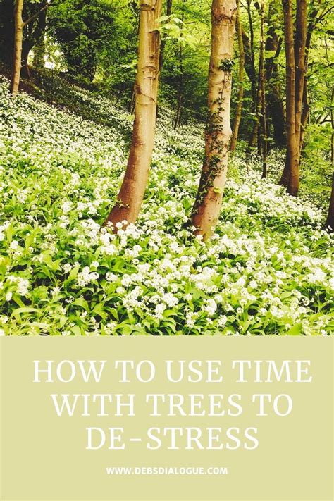 How To Use Trees To De Stress Tree Natural Environment Time