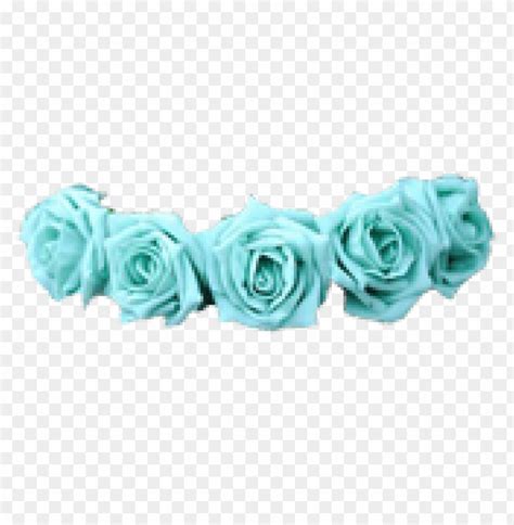 Transparent Background Blue Flower Crown Png - Didiramone Punk