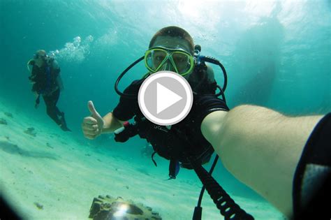 5 Best Dive Apps Scuba Diver Life
