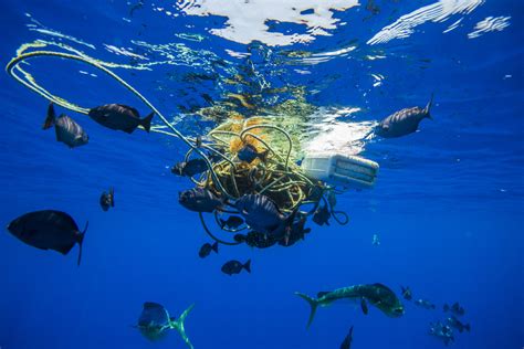 The Us Needs A Federal Ban On Marine Plastic Pollution