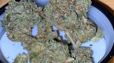 Strain Review Romulan By Pearl Pharma The Highest Critic