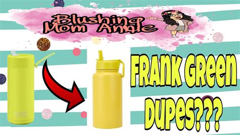 Frank Green Dupe At Kmart With A Storytime Youtube