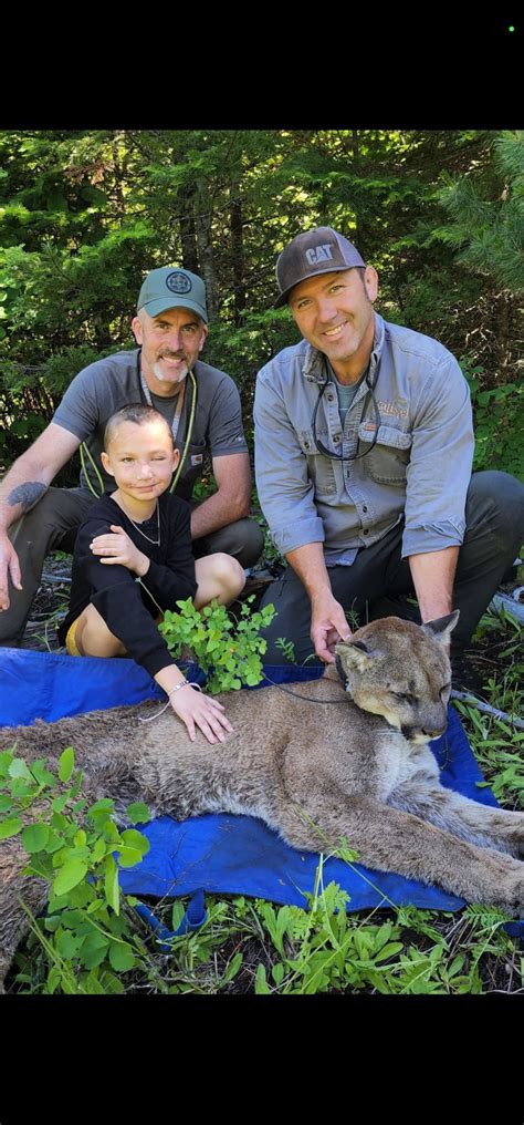 9 Year Old Girl Attacked By A Cougar Joins Biologist On Cougar Capture