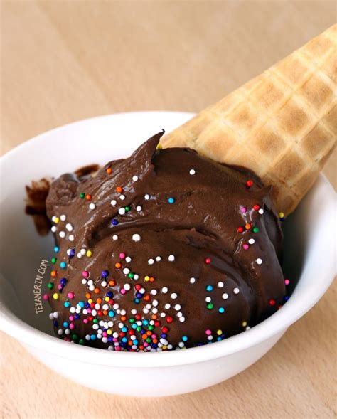 Vegan Chocolate Ice Cream (paleo, nut-free, dairy-free) - Texanerin Baking
