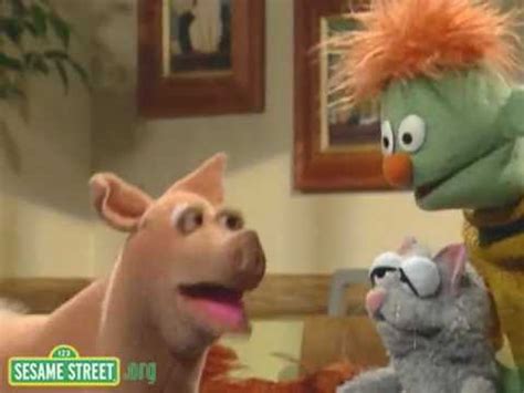 Sesame Street Pet Show And Tell Iguana Vidoemo Emotional Video Unity