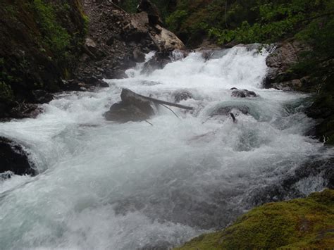 Fluid As A Lifestyle The Big Quilcene Olympic Peninsula