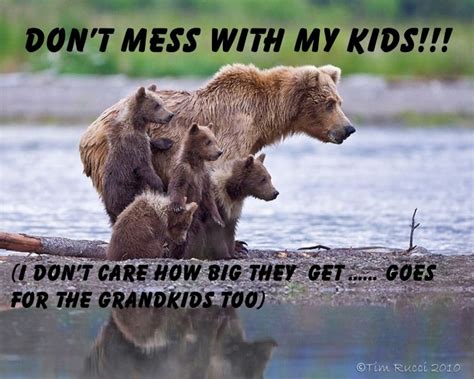 Dont mess with me quotes from: Dont Mess With Mama Bear Quotes. QuotesGram