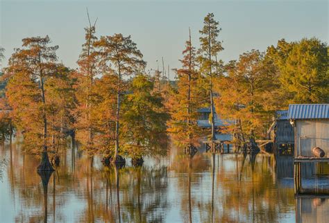 These Small Towns In Louisiana Come Alive In Fall Worldatlas