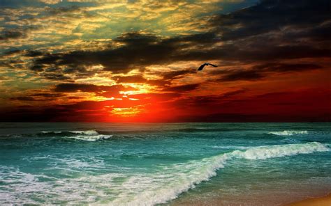 Hd Wallpaper Sky Clouds Storm Sea Waves Sunset Glow Poultry