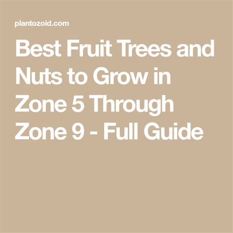 Best Fruit Trees And Nuts To Grow In Zone 5 Through Zone 9 Full Guide
