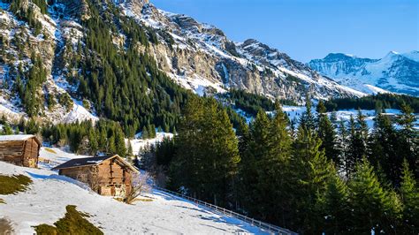 Wallpaper Alps Switzerland Spruce Winter Nature Mountain