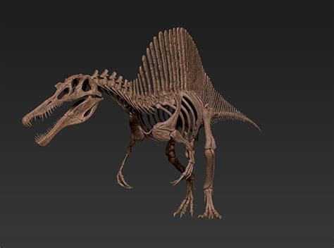 Spinosaurus Skeleton By Kongtrex On Shapeways Spinosaurus Dinosaur