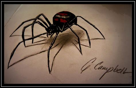 Black Widow Spider By Gilly15 On Deviantart