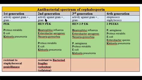 Cephalosporin Antibacterial Spectrum Of Cephalosporincephalosporin
