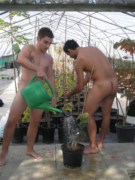 Jardiniers Nus Dans Une Serre Xooly