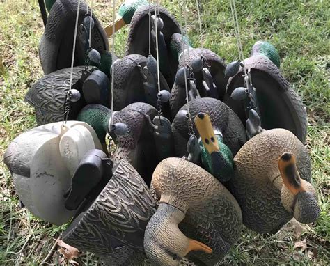 Texas Rig Decoys Project Upland