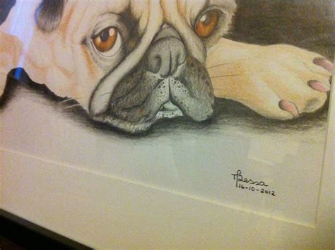 Colored Pencils Drawing Pug Its Been Around 5 Years Sin Flickr