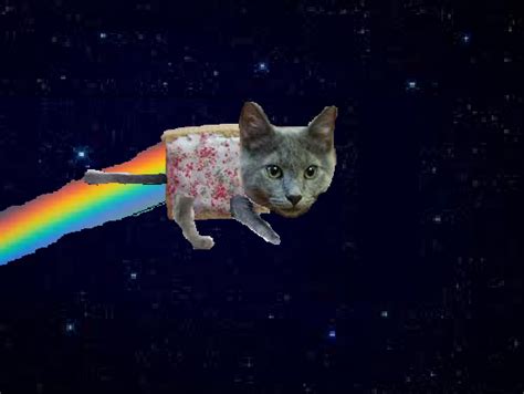Real Life Nyan Cat Nyan Cat Photo 24422756 Fanpop