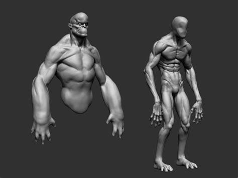 Body Forms 3d Cgtrader