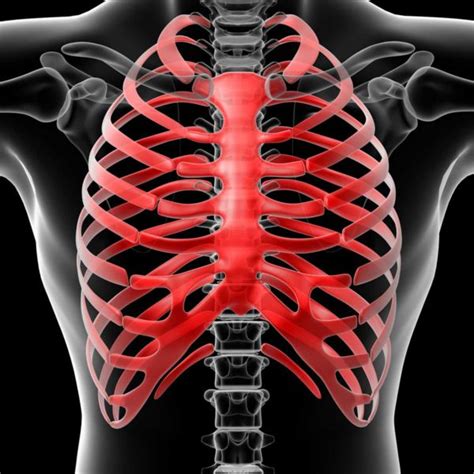 Manual Therapy Treatment Of Common Thoracic Cage Dysfunctions