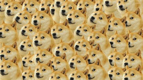 Wallpaper 1920x1080 Doge Meme Wallpaper Download Best Hd Images Wallpaper