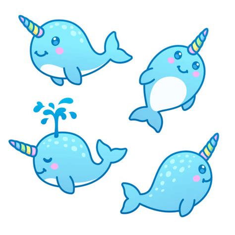 Narwhal Illustrations Royalty Free Vector Graphics And Clip Art Istock