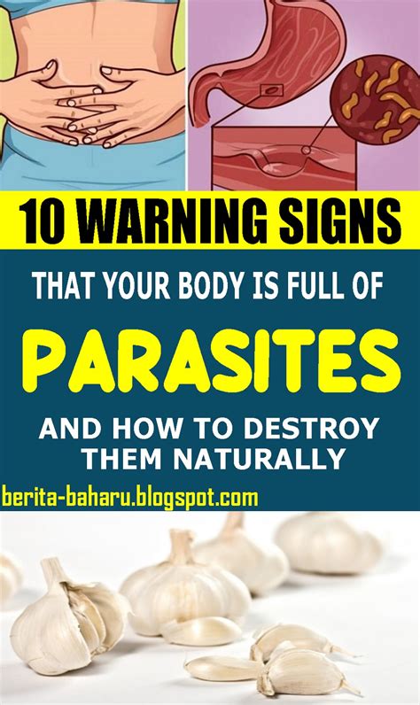 Warning Signs That You Have Parasites In Your Body And How To Destroy